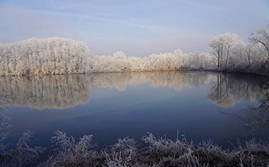Frosty trees beside the Danube river